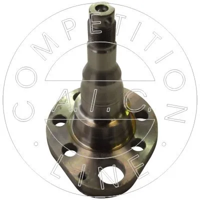 Осевая цапфа AIC 51156