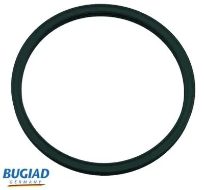 Уплотнительное кольцо патрубка интеркулера BUGIAD 81809