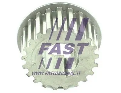 Шестерня балансирного вала FAST FT45605