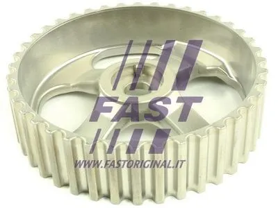 Шестерня балансирного вала FAST FT45613