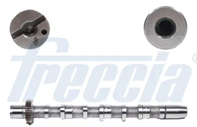 Распредвал FRECCIA CM052189