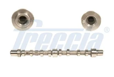 Распредвал FRECCIA CM052199