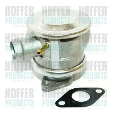 Клапан насоса дополнительного воздуха HOFFER 8029612