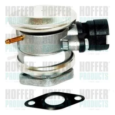 Клапан насоса дополнительного воздуха HOFFER 8029616