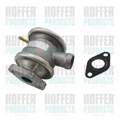 Клапан насоса дополнительного воздуха HOFFER 8029651