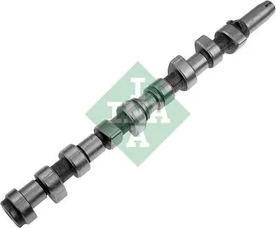 Распредвал INA 428 0042 10