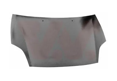 Капот VAN WEZEL 1629660